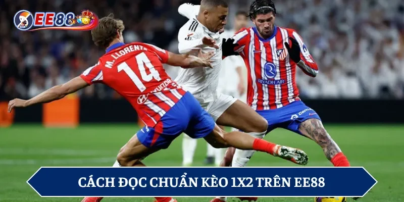 Cách đọc kèo 1X2 được chia sẻ dành cho newbie